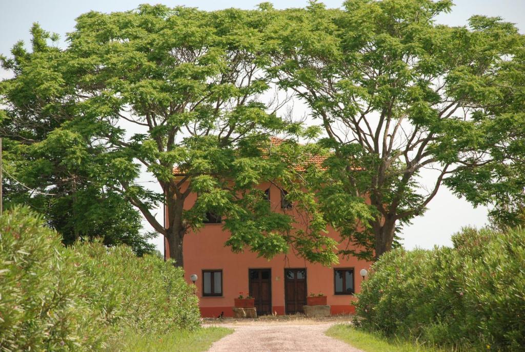 Agriturismo Le Coccinelle Magliano in Toscana Ngoại thất bức ảnh