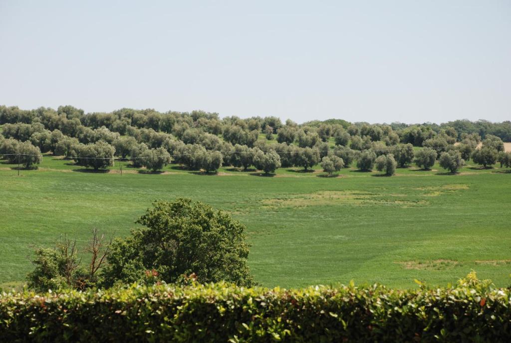 Agriturismo Le Coccinelle Magliano in Toscana Ngoại thất bức ảnh