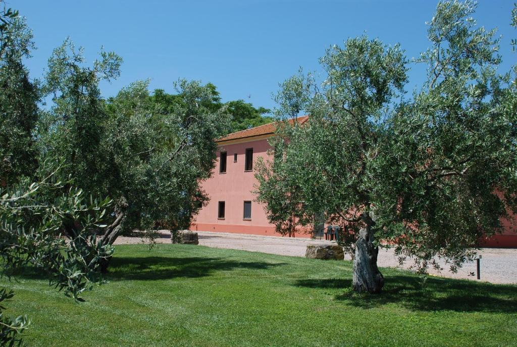 Agriturismo Le Coccinelle Magliano in Toscana Ngoại thất bức ảnh