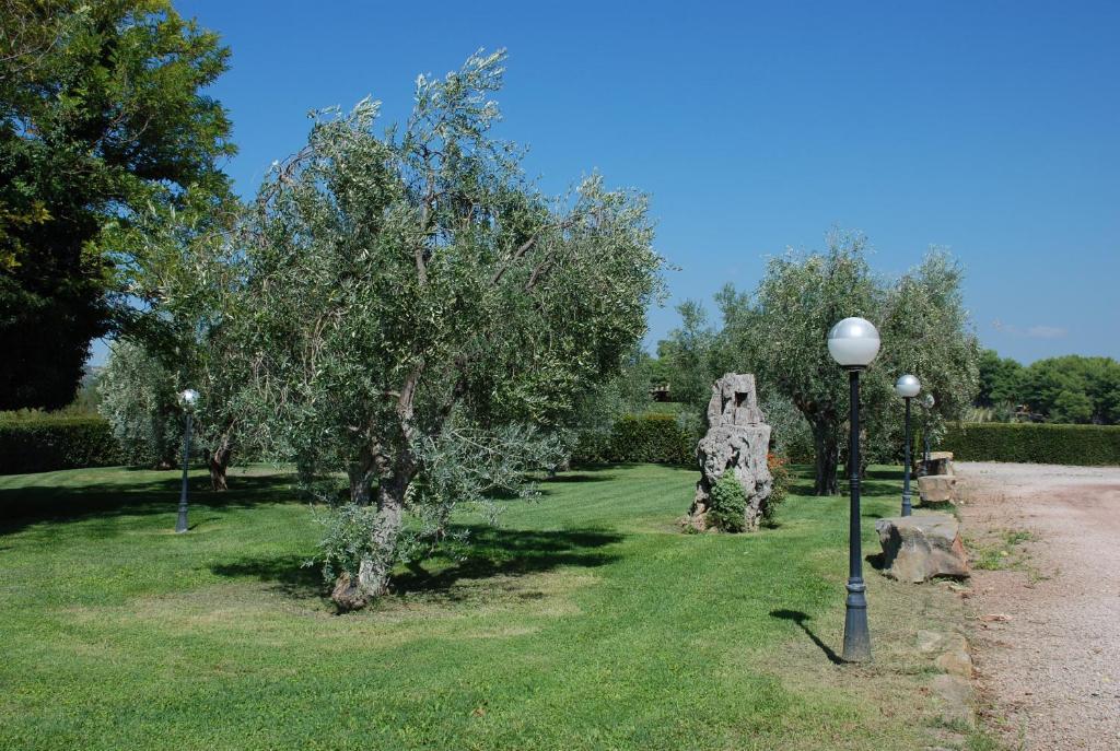 Agriturismo Le Coccinelle Magliano in Toscana Ngoại thất bức ảnh