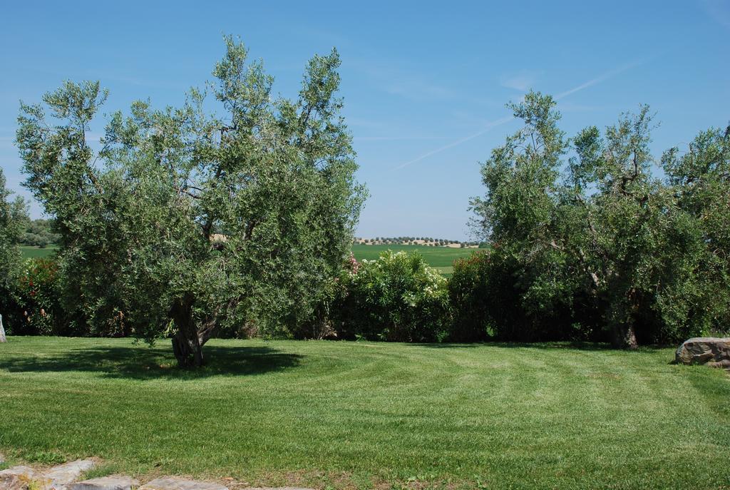 Agriturismo Le Coccinelle Magliano in Toscana Ngoại thất bức ảnh