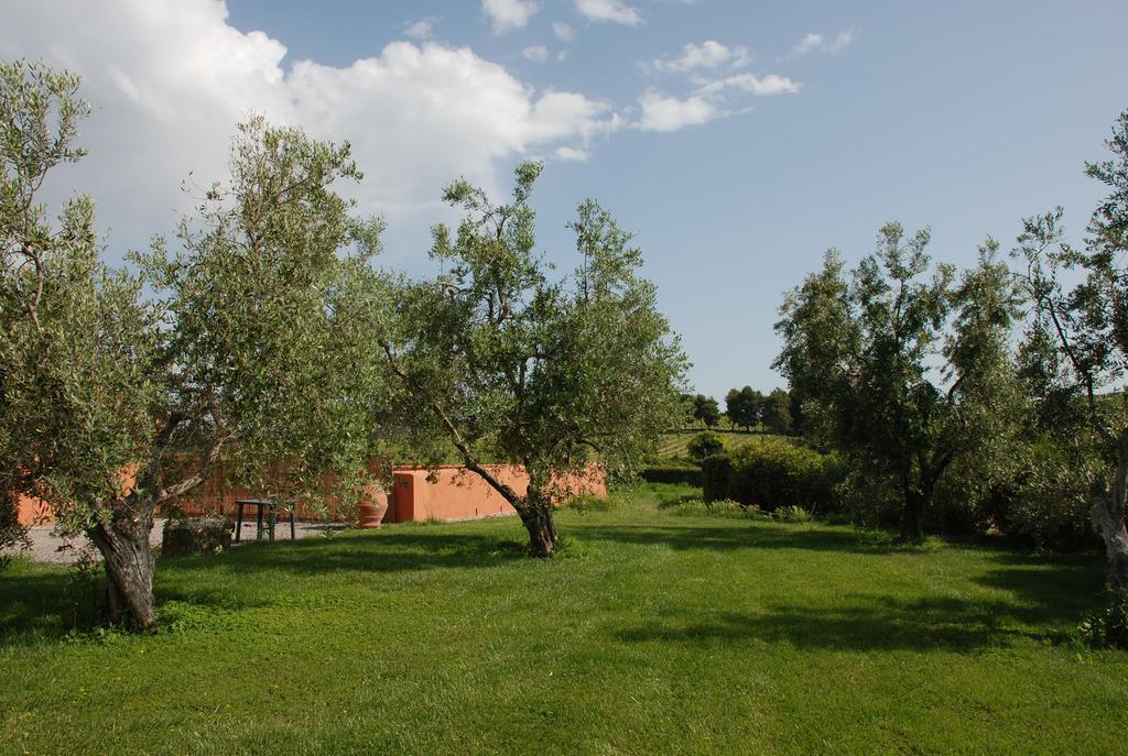 Agriturismo Le Coccinelle Magliano in Toscana Ngoại thất bức ảnh