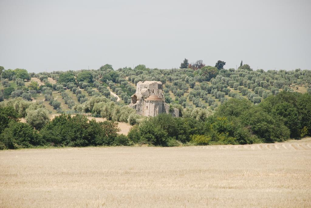 Agriturismo Le Coccinelle Magliano in Toscana Ngoại thất bức ảnh