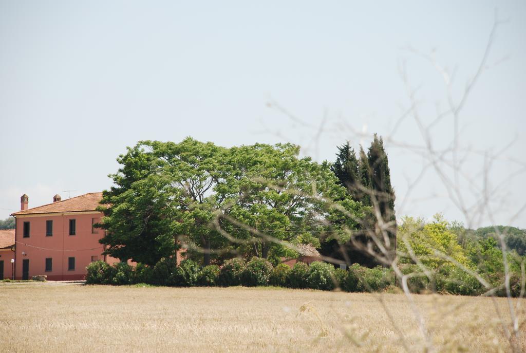 Agriturismo Le Coccinelle Magliano in Toscana Ngoại thất bức ảnh